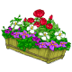  Pot of Flowers