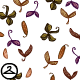 Thumbnail for Seed Pod Shower