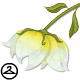 Dyeworks White: Radiant Flower Skirt