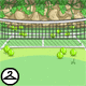 Thumbnail for Tennis Background