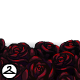 Bed of Black Roses