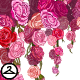 Thumbnail for Cascading Roses