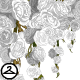 Thumbnail for Dyeworks White: Cascading Roses