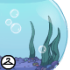 Thumbnail for Inside a Giant Fish Bowl