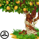Thumbnail for Blooming Lemon Tree