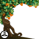 Thumbnail for Tangerine Side Tree