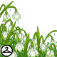 Thumbnail for Dewy Snowdrop Flower Foreground