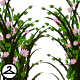 Thumbnail for Sprouting Flowers Foreground