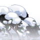 Thumbnail for Dyeworks Black: Snow Covered Flowers Foreground