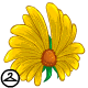 Thumbnail for Sunflower Wings