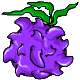 Purple Felberry