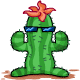 Make a statement by putting this cool
cactus in your garden.  Remember to bolt it down however, it has a tendency to wander off in search of
food.