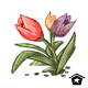 plant_tulipbunch.gif