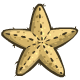 Sand Star Plushie