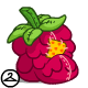Raspberry Plushie