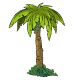  Palm Tree