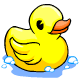 A rubber duck can make a fun play mate for a young pet.