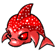 Red Sharky