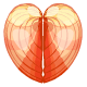 Cream Heart Sea Shell