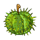 Cactus Apple