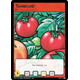 Tomatoes (TCG) - r101