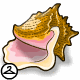 Thumbnail for Conch Shell