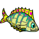 Codcombfish