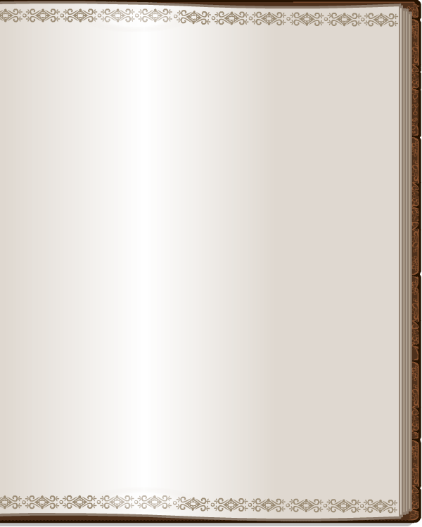 https://images.neopets.com/ncmall/album/album_image.gif