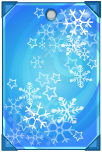 https://images.neopets.com/ncmall/album/winter_tag1.png