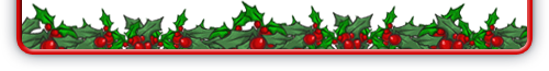https://images.neopets.com/ncmall/stocking/2014/popup_ftr.png
