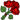 https://images.neopets.com/neoboards/smilies/roses.gif