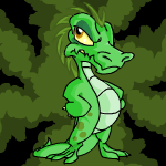 https://images.neopets.com/neopedia/145_grownkrawk.gif