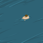 Krawk Island disappears