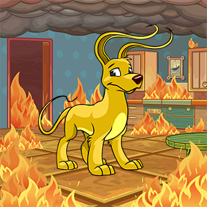 Neopies Best of Year 24 Have Begun! - Neopets News - The Daily Neopets Forum