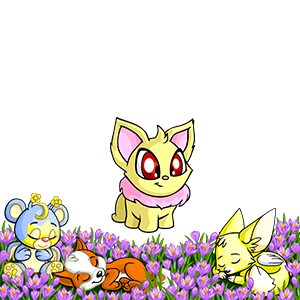 Petpets Nap in a Flower Bed