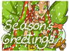 https://images.neopets.com/new_greetings/tm_262.gif
