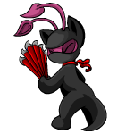 Ninja Aisha