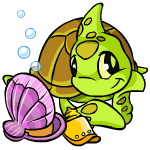 https://images.neopets.com/new_shopkeepers/1243.gif