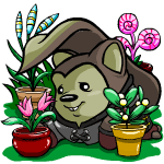 https://images.neopets.com/new_shopkeepers/966.gif