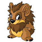 https://images.neopets.com/new_shopkeepers/t_876.gif