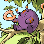 https://images.neopets.com/nt/ntimages/149_hasee_fruit.gif