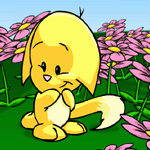 https://images.neopets.com/nt/ntimages/229_yellow_kacheek.gif