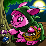 https://images.neopets.com/nt/ntimages/254_cybunny_witch.gif