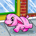 https://images.neopets.com/nt/ntimages/284_poogle_dashing.gif