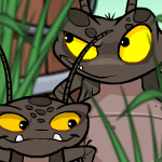 https://images.neopets.com/nt/ntimages/336_smugbugs.gif