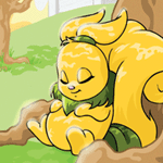 https://images.neopets.com/nt/ntimages/384_usul_dreamer.gif
