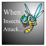 https://images.neopets.com/old_images/water/lib/lib_24.gif