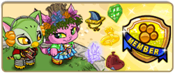 https://images.neopets.com/petpetpark/news/frontpage/member_items_fpg.png