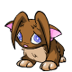https://images.neopets.com/pets/80by80/acara_brown_sad.gif