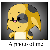 https://images.neopets.com/pets/80by80/kacheek_spotted_me.gif